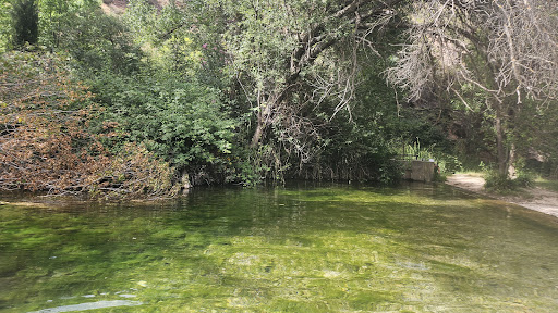 El Largo - Visual