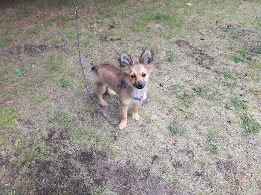 Meadowood Mobile Home Park - Thumbnail