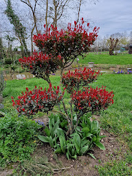 Photo n°5 de La Maison Du L.a.c. à Simard (Chambre d'hôtes)