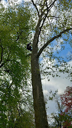 Photo n°2 de Auvergrimp à Saint-Clément-de-Régnat (Paysagiste)