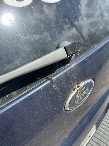 Carolina Auto Diagnostic - Thumbnail