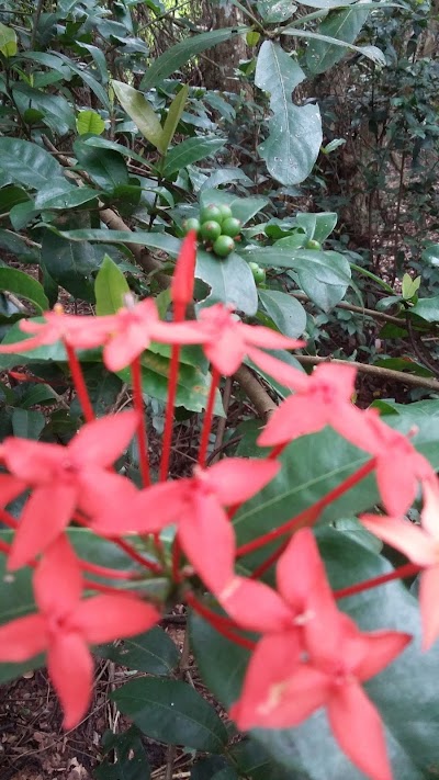 Photos of Kotuaththawala Bird Sanctuary