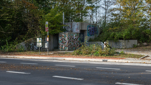 Hamburger Baum - Kiel - Thumbnail