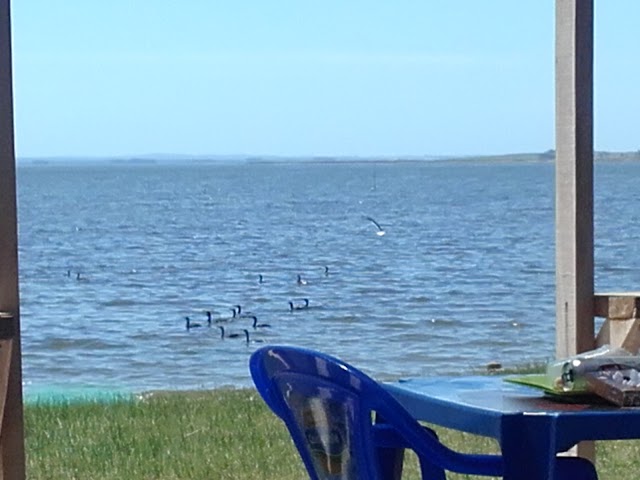 cocina De La Barra, Laguna De Rochs