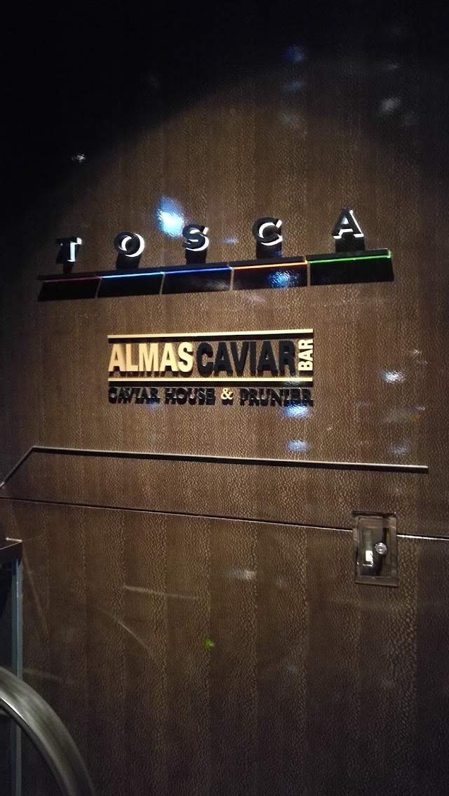 Tosca / The Lounge & Bar / Cafe 103