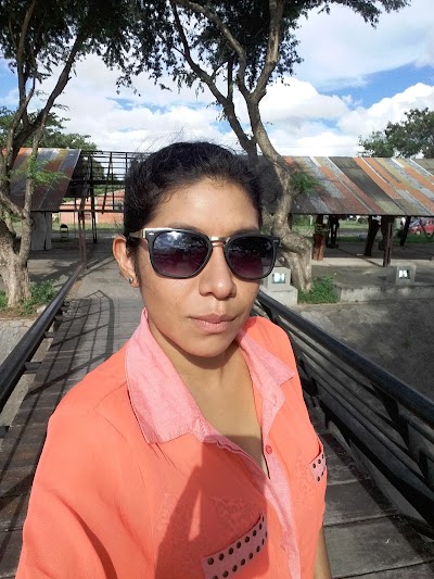 Photos of Paseo del Bosque Certificado