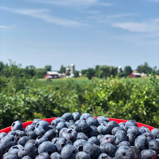 Greig Farm - United States
