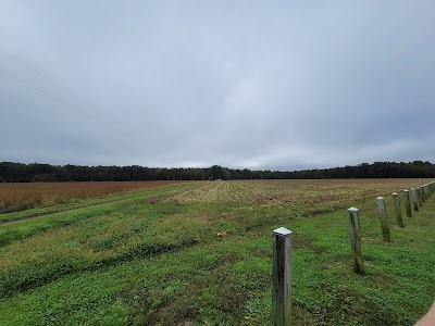 Site of Harriet Tubman Childhood Home