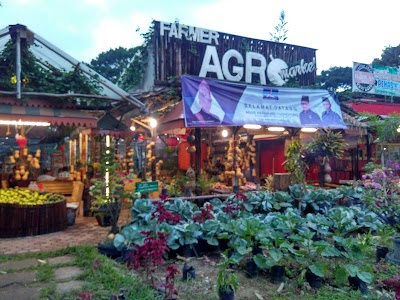 Photos of HORAS KOPI GAYO SAREE