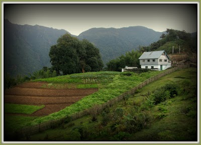 Photos of Dobato Homestay