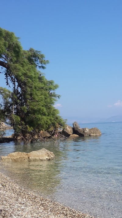 Photos of Corfu Sun Seaside Apartments - Corfu Benitses