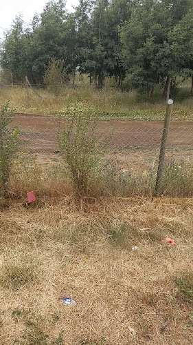 Comentarios y opiniones de Villa Millaray Laraquete