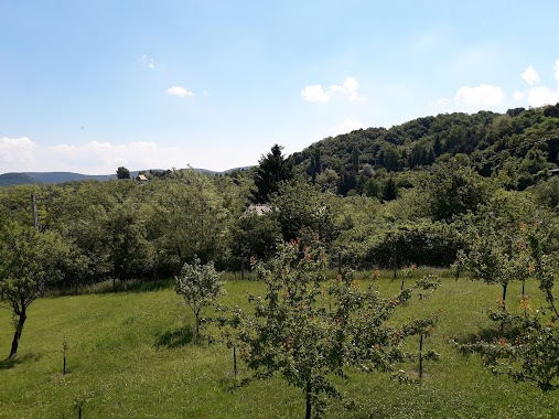 Panoráma Apartman, Author: Zsuzsa Roszevák