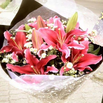 Photos of Freshcut Flower