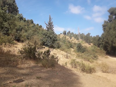 Photos of Rukitas Camping