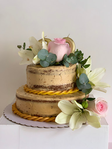 Bib Cake - Visual