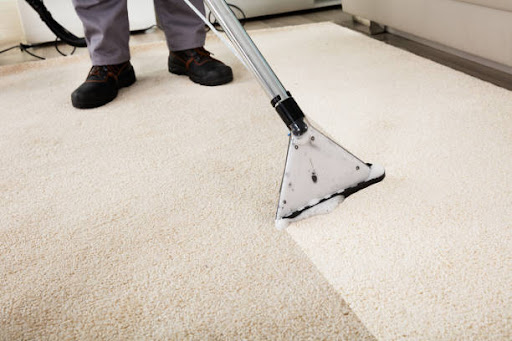 dds cleaning services - Visual