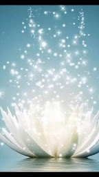 Photo n°13 de virginie mel sophrologue relaxologue à Sorèze (Thérapeute Reiki)