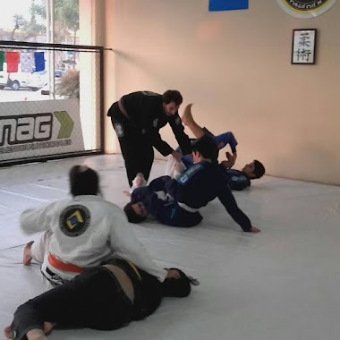 Cesar Carceglia BJJ Academy, Author: Cesar Carceglia BJJ Academy