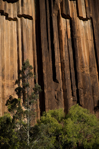 Sawn Rocks walking track - Thumbnail
