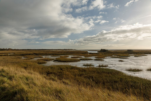 RSPB Pagham Harbour LNR