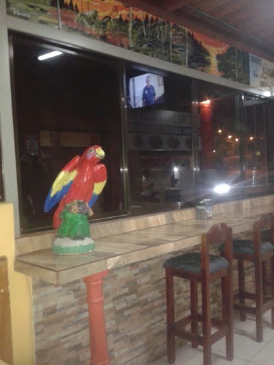 Photos of Hotel Palmazul