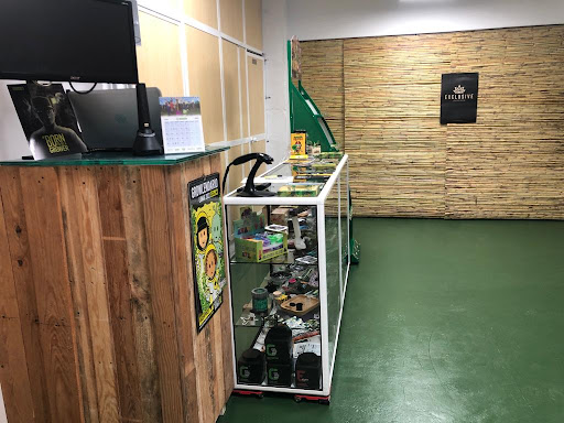 Tugreengrowshop - Visual