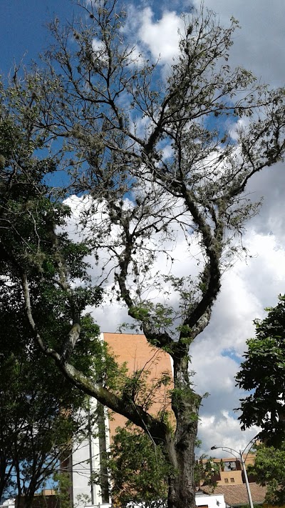 Photos of MANGOS Park