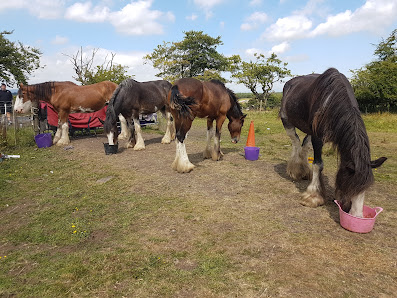 Murray Stables Gartgill Rd, Coatbridge ML5 2EQ, United Kingdom