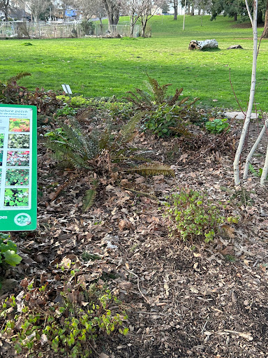 Nature Patch - Visual