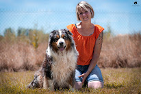 Domaine Du Clos Australien : Élevage de Berger Américain Miniature Berger Australien et Welsh Corgi Pembroke dans le 47 à Castelmoron-sur-Lot