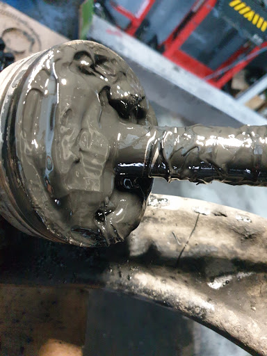 Auto - Vein - Visual