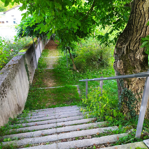 Rosengarten Am Schloß - Thumbnail