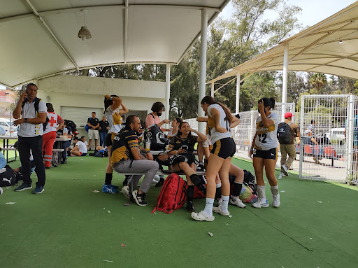 Sports Institute of the State of Aguascalientes - Thumbnail