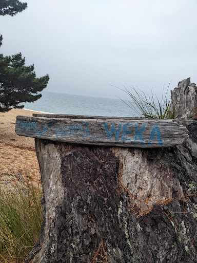 Mutton Cove Campsite