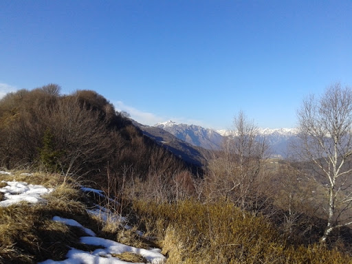 CARRARA MATTEO NON SOLO IMBIANCATURA - Thumbnail