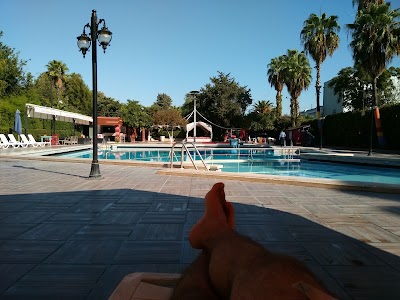 lodging