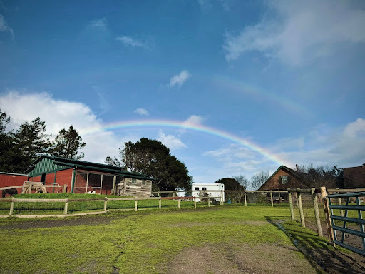 CROSSROADS RANCH RIDING STABLE Logo