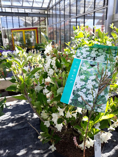 Gartenlotsen GmbH - Thumbnail