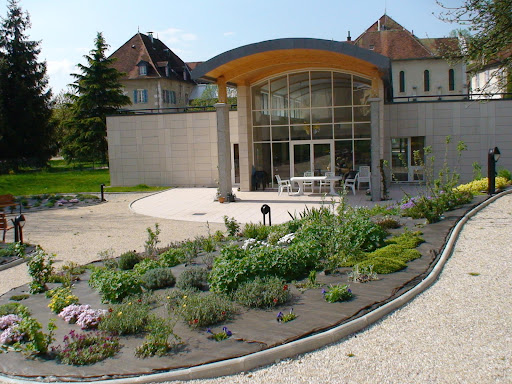 Photo de Les Mésanges