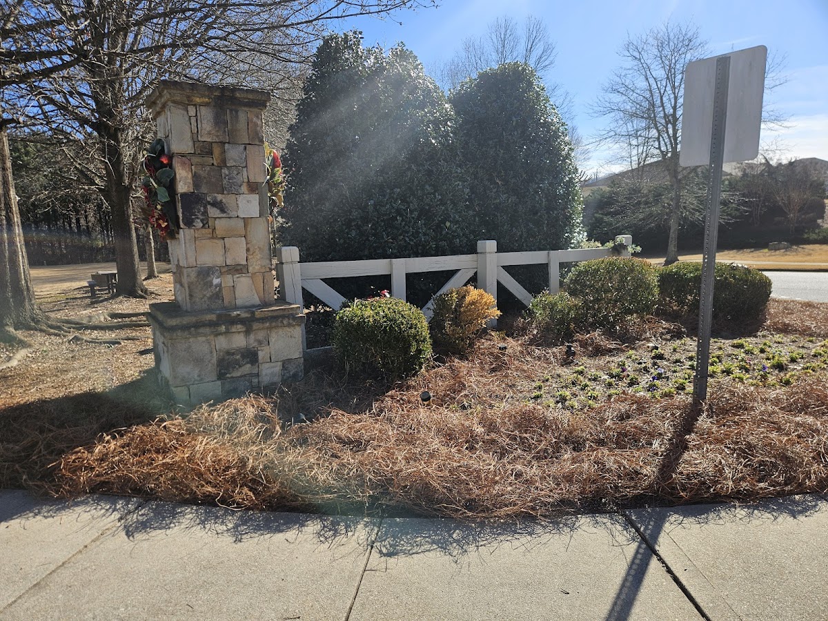 Thank you, David and your crew, for outstanding service transforming our challenging yard into a beauty