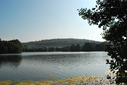 Photo de étang