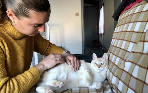 Âme’Animal communication et soins énergétiques - Thumbnail
