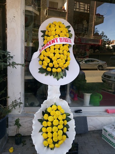 Photos of Şerefliko&ccedil;hisar &Ccedil;i&ccedil;ek&ccedil;ilik , SERTKAN &Ccedil;İ&Ccedil;EK&Ccedil;İLİK