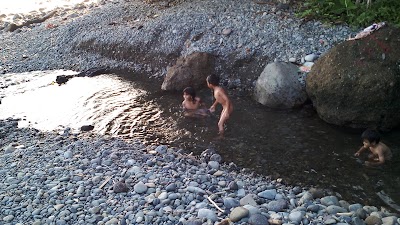 Photos of Tokek Sejati