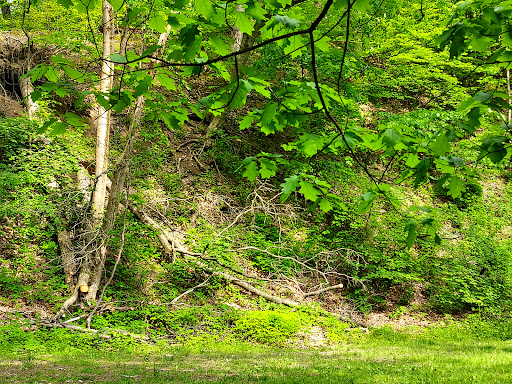 Lodi Community Park - Thumbnail