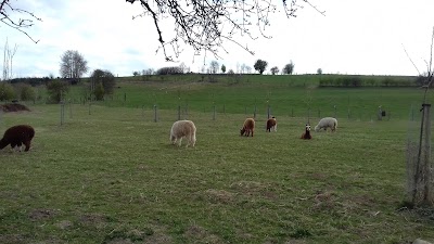 Photos of Ferme de la Planche