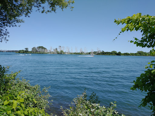 Thomas-Monro Park - Visual