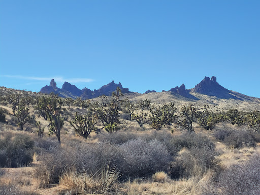 Castle Mountains National Monument