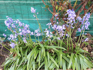 Photo n°18 de maison tartifume à Pornic (Maison de vacances non-fumeurs)